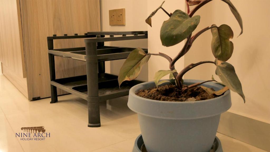Superior Double Room 18 m² Photo 6